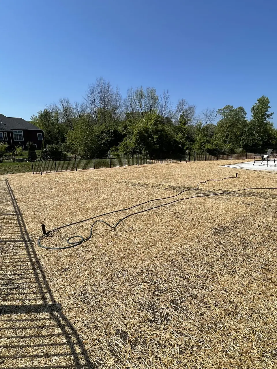 Graded and seeded yard