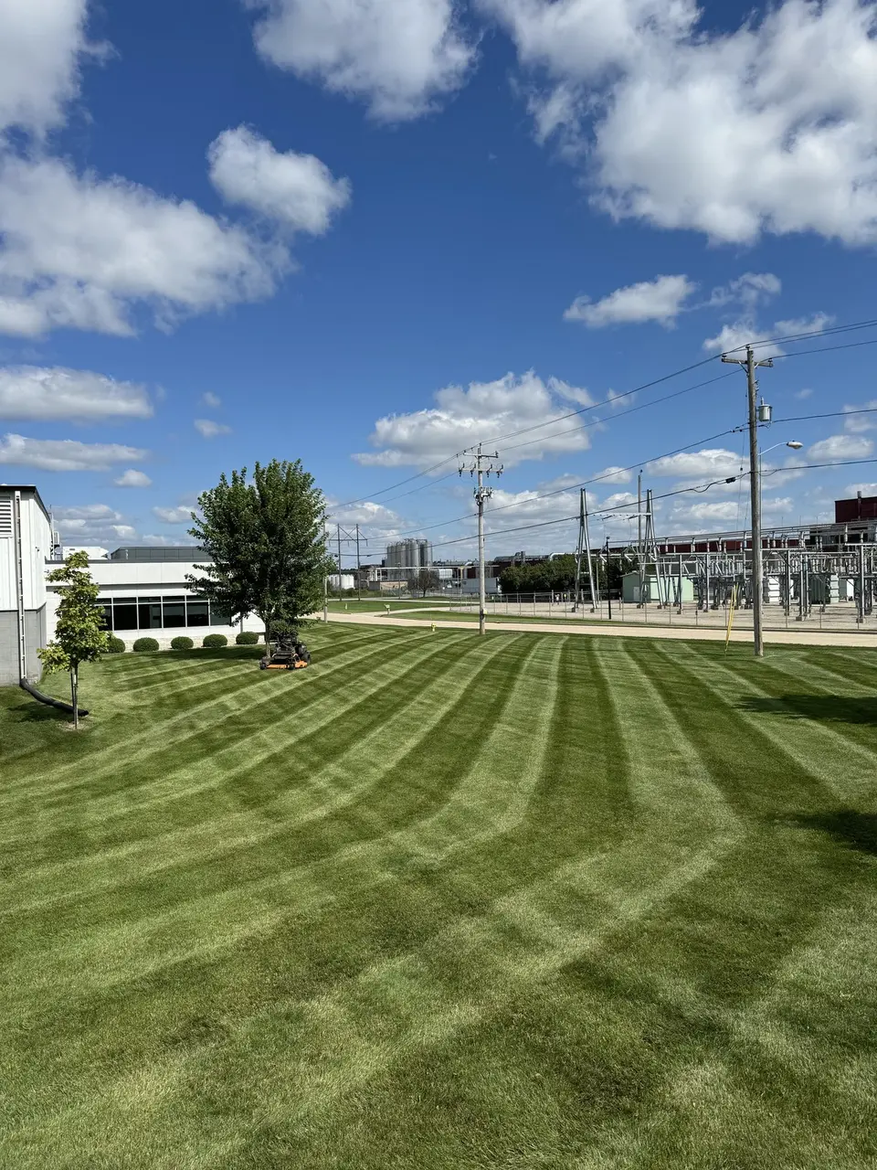Striped, freshly mowed lawn